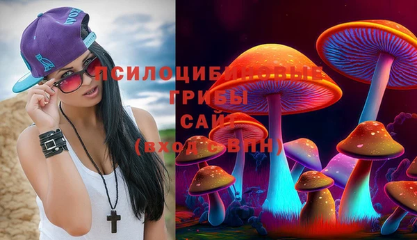 2c-b Богородск