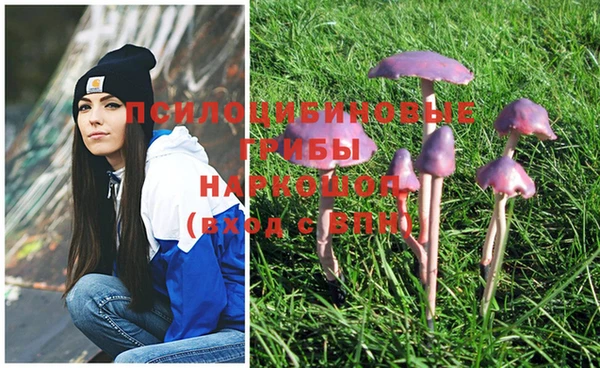 мяу мяу мука Богородицк