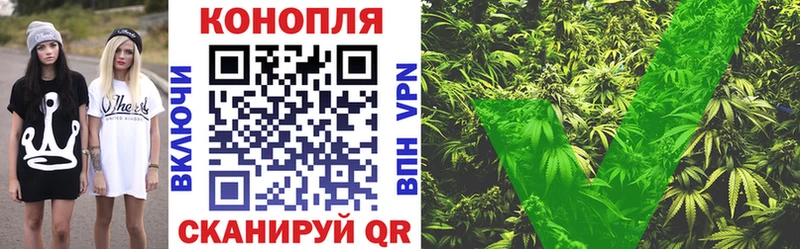 Каннабис SATIVA & INDICA Кострома